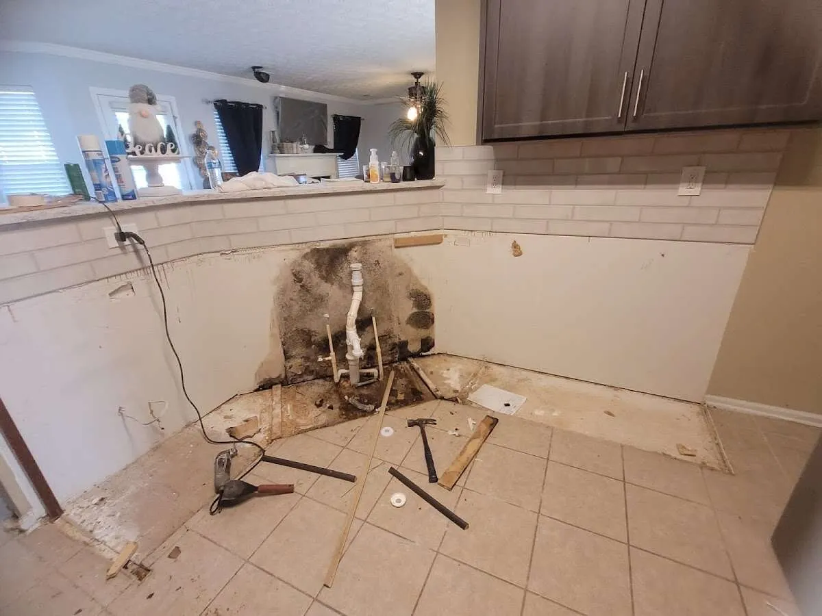 Mold behind wall with plumbing during Flood Damage Cleanup in Salt Lake City